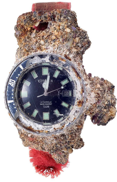 PROMASTER Mechanical Diver 200m « FUJITSUBO »