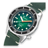 1521 Green Ray - 1521PROFGR.PVE
