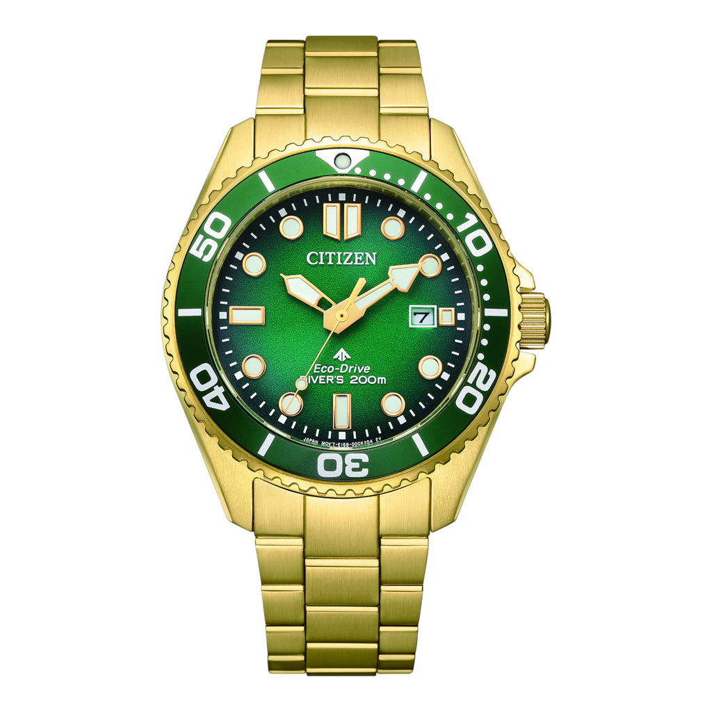 PROMASTER MARINE ECO-DRIVE - BN0262-59W