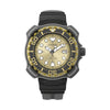 VOGTIME-CITIZEN-PROMASTER ECO DRIVE MARINE - BN0226-10PE
