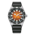 PROMASTER MARINE - NY0120-01ZE