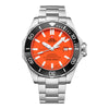 VOGTIME-SWISS-MILITARY-BY-CHRONO-SPECIAL EDITIONS  -  DIVER 1000 - SMA34075.03