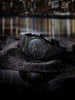 Montres AIKON AUTOMATIC 42mm - AI6008-PVB01-330-1 - 42 mm / 